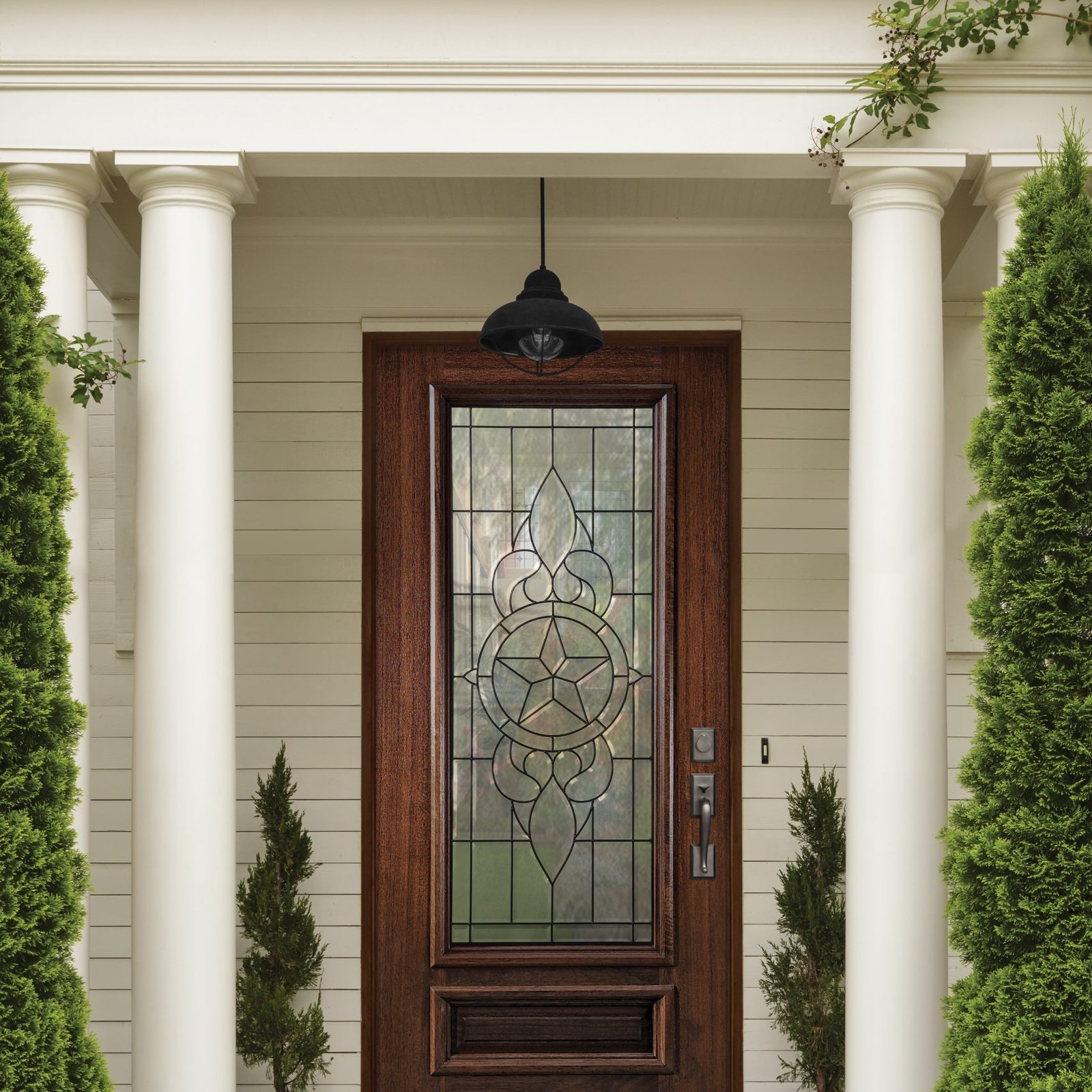 modern single mahogany entry door with decorative glass